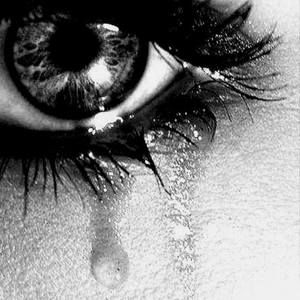 Meet your Posher, Sandi